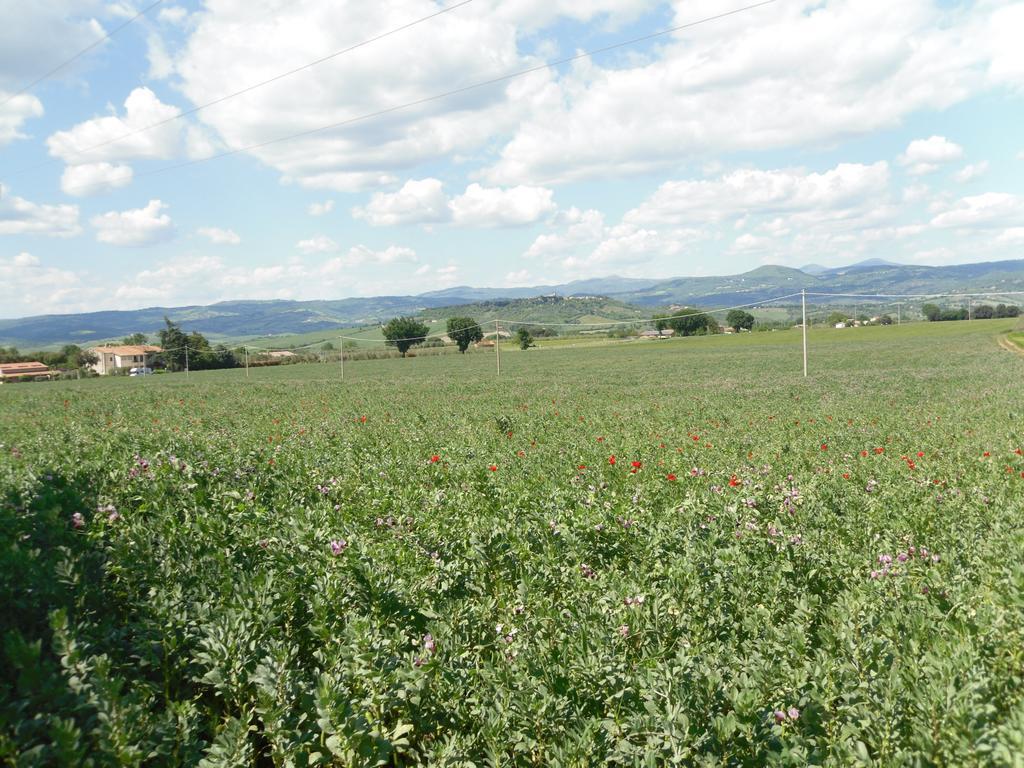 Agriturismo Il Giardino Saturnia Exterior foto