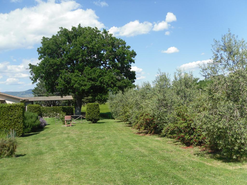 Agriturismo Il Giardino Saturnia Exterior foto